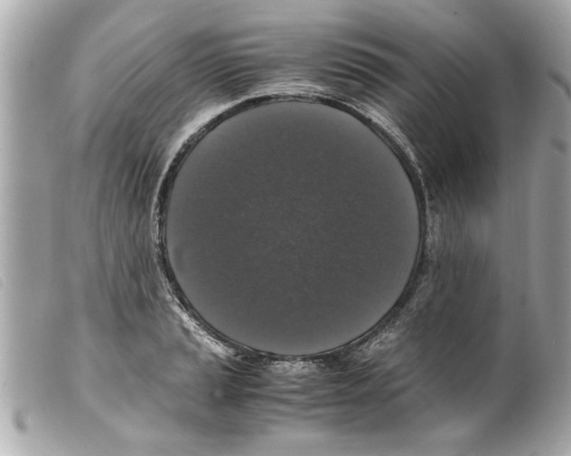 X0000099291037200805301107