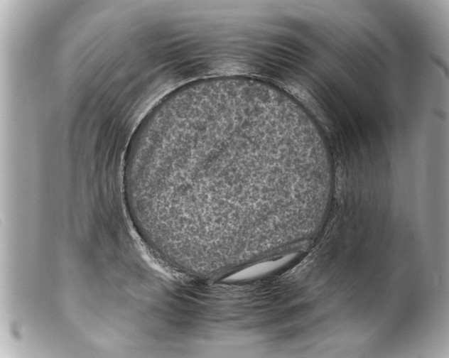 X0000099291039200805301107