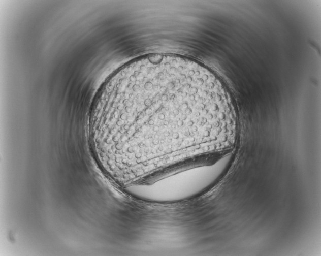X0000099291040200805301107