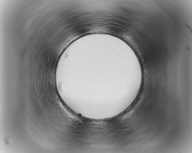X0000099291041200805301107