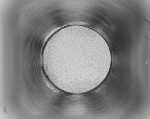 X0000099291044200805301107