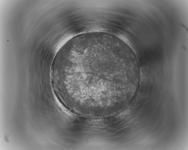 X0000099291047200805301107