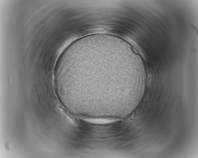 X0000099291051200805301107