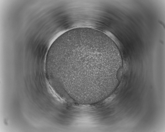 X0000099291052200805301107