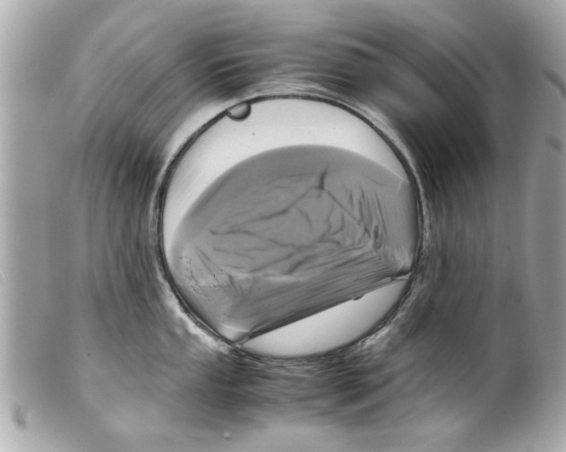 X0000099291053200805301107