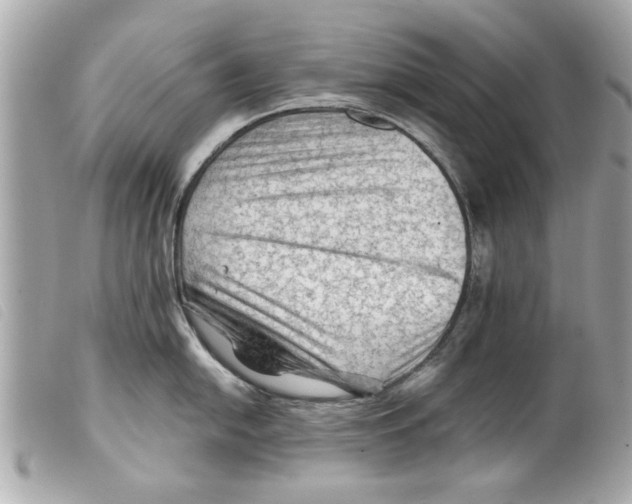 X0000099291054200805301107