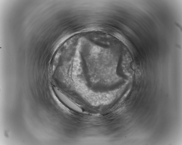 X0000099291055200805301107