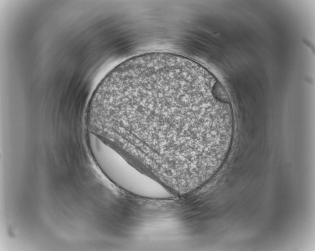 X0000099291056200805301107