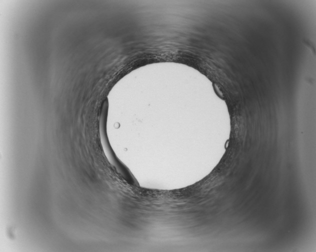 X0000099291057200805301107