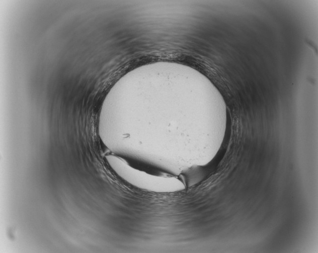 X0000099291058200805301107