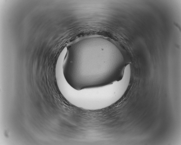X0000099291059200805301107