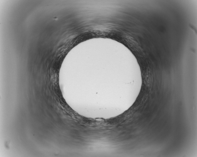 X0000099291061200805301107