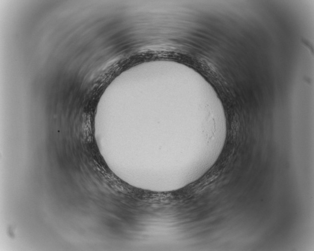 X0000099291062200805301107