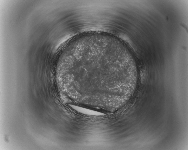 X0000099291064200805301107