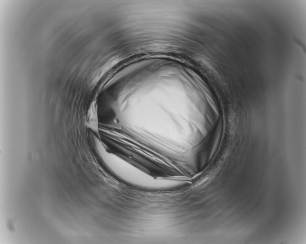 X0000099291065200805301106