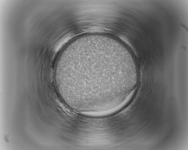 X0000099291067200805301106