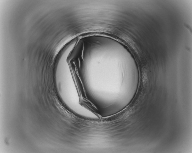 X0000099291069200805301106