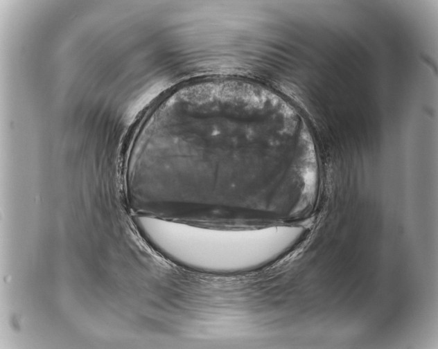 X0000099291071200805301106