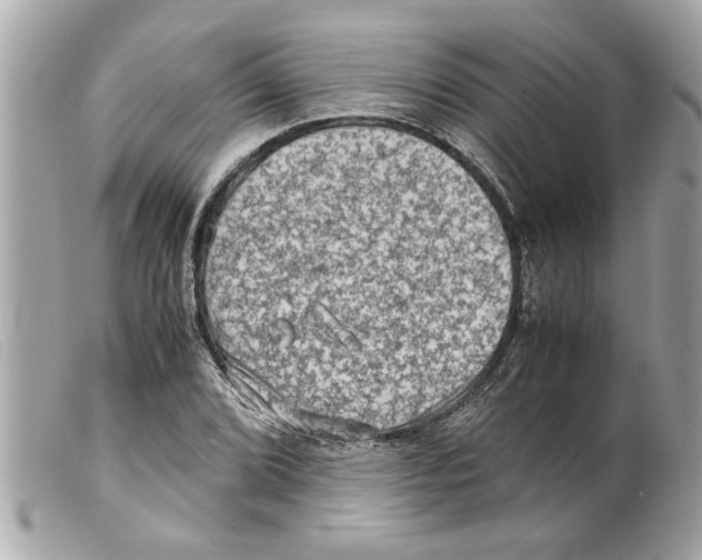 X0000099291072200805301106