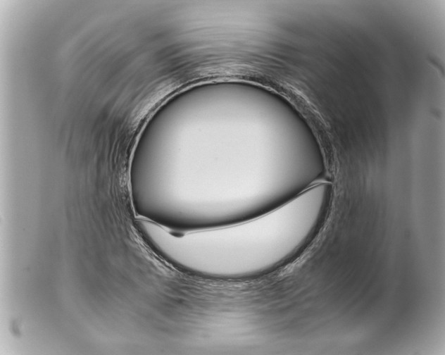 X0000099291073200805301106
