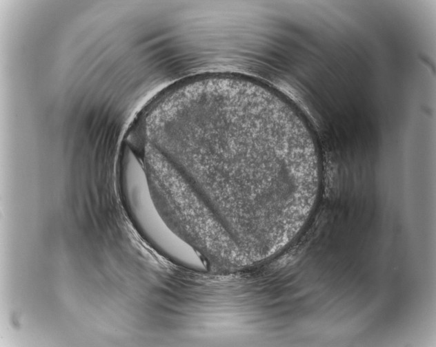 X0000099291076200805301106