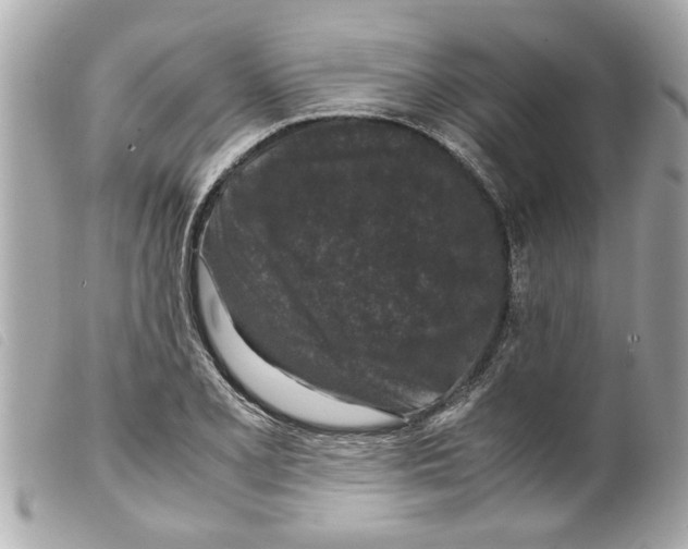 X0000099291077200805301106