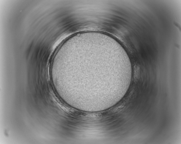 X0000099291078200805301106