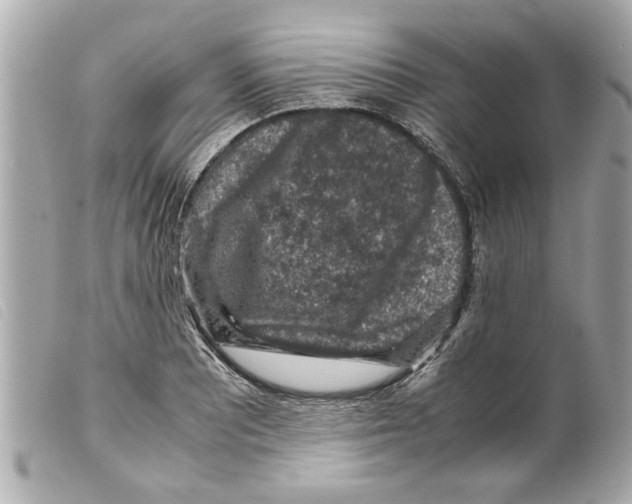 X0000099291081200805301106