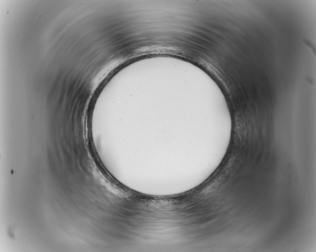 X0000099291082200805301106