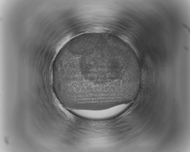 X0000099291083200805301106