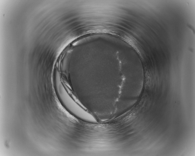 X0000099291084200805301106