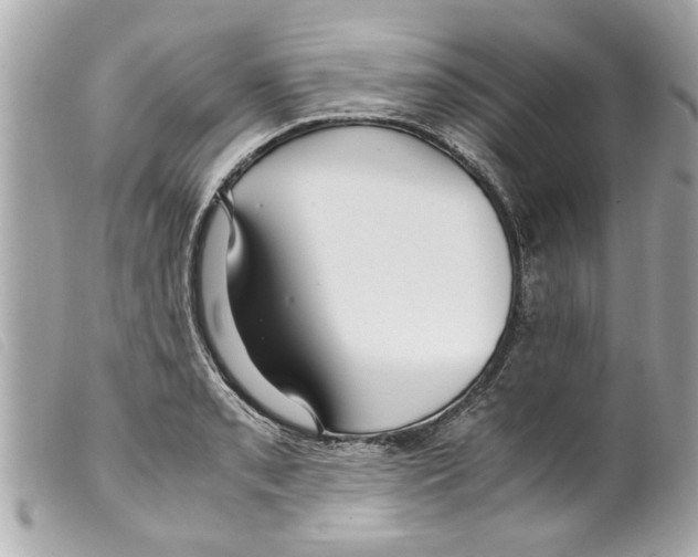 X0000099291085200805301106