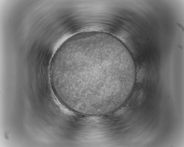 X0000099291086200805301106