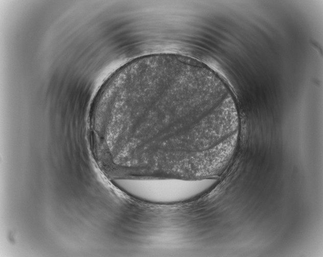 X0000099291088200805301106