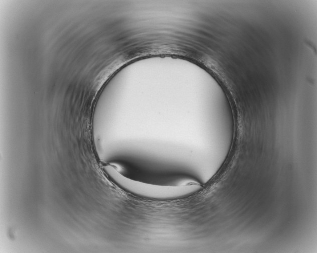 X0000099291089200805301106