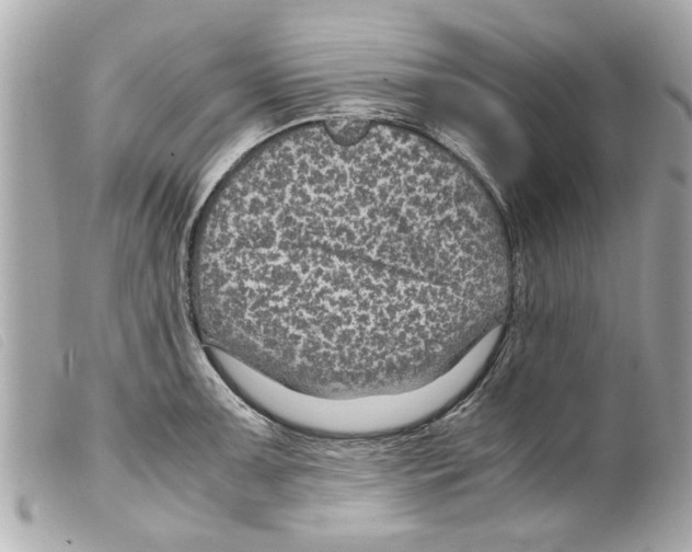 X0000099291091200805301106