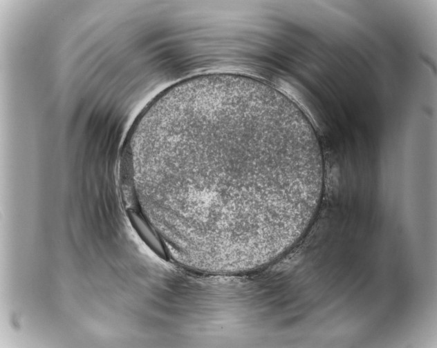 X0000099291092200805301106