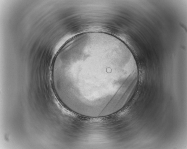 X0000099291094200805301106
