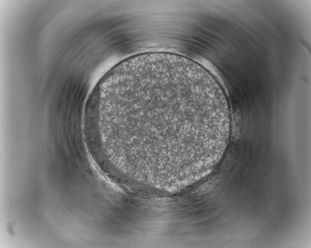 X0000099291096200805301106