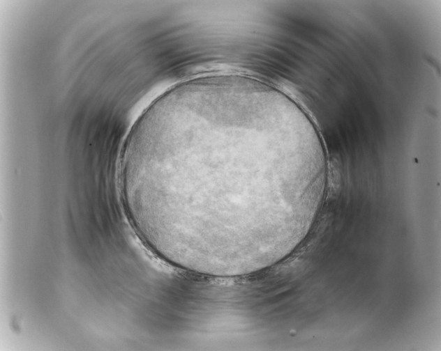 X0000099291098200805301106