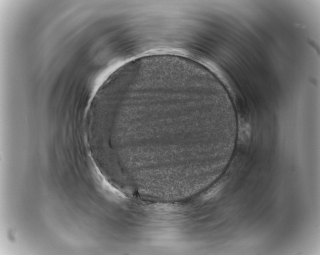 X0000099291102200805301106