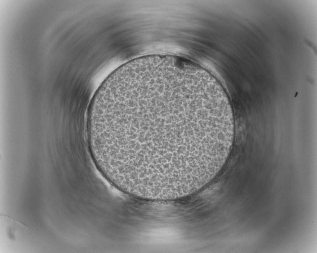 X0000099291103200805301106