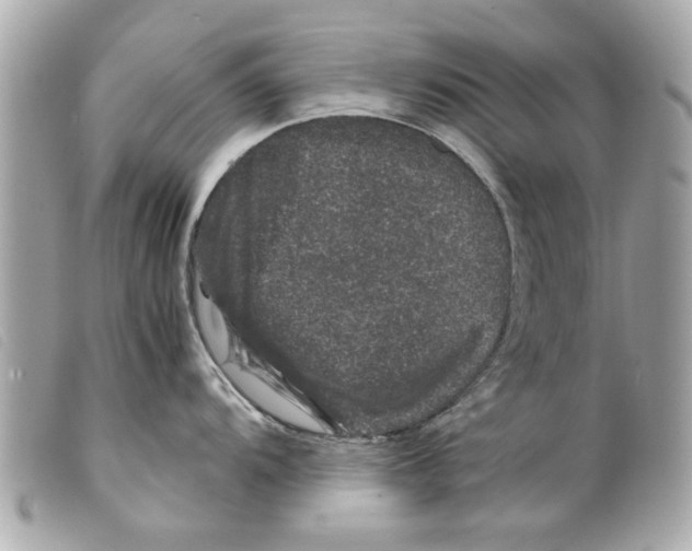 X0000099291104200805301106