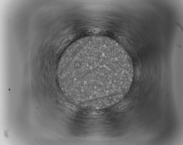 X0000099291105200805301105