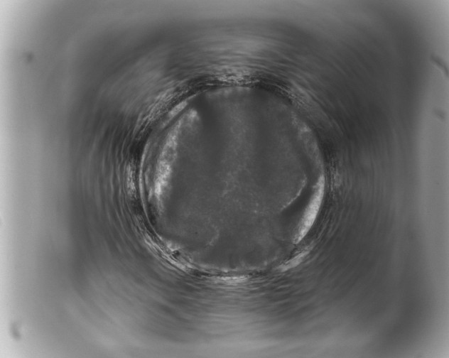 X0000099291106200805301105