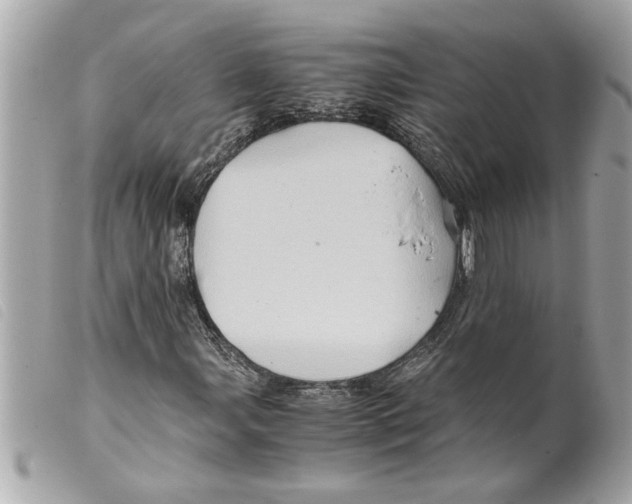 X0000099291107200805301105