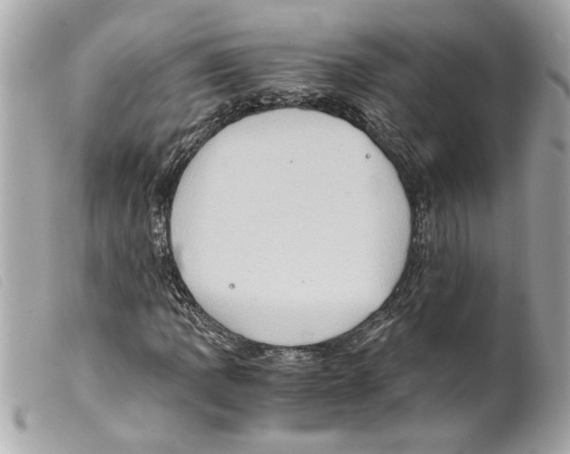 X0000099291109200805301105