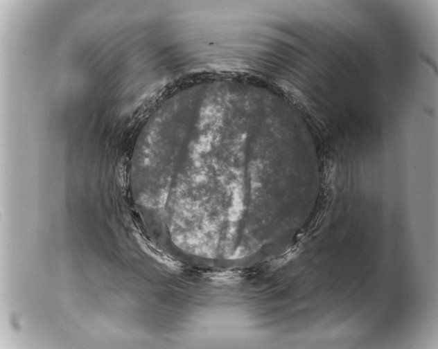 X0000099291110200805301105