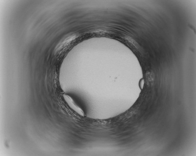 X0000099291111200805301105