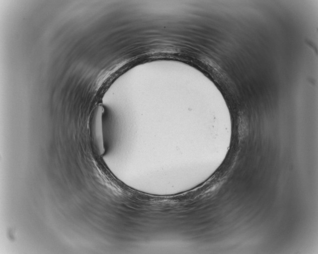 X0000099291113200805301105